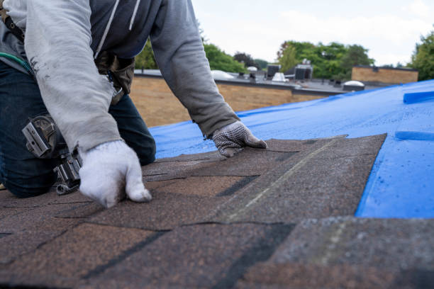 Best Metal Roofing Contractor  in Russells Point, OH